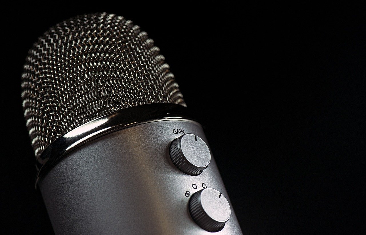 microphone, mic, vocal-1172260.jpg